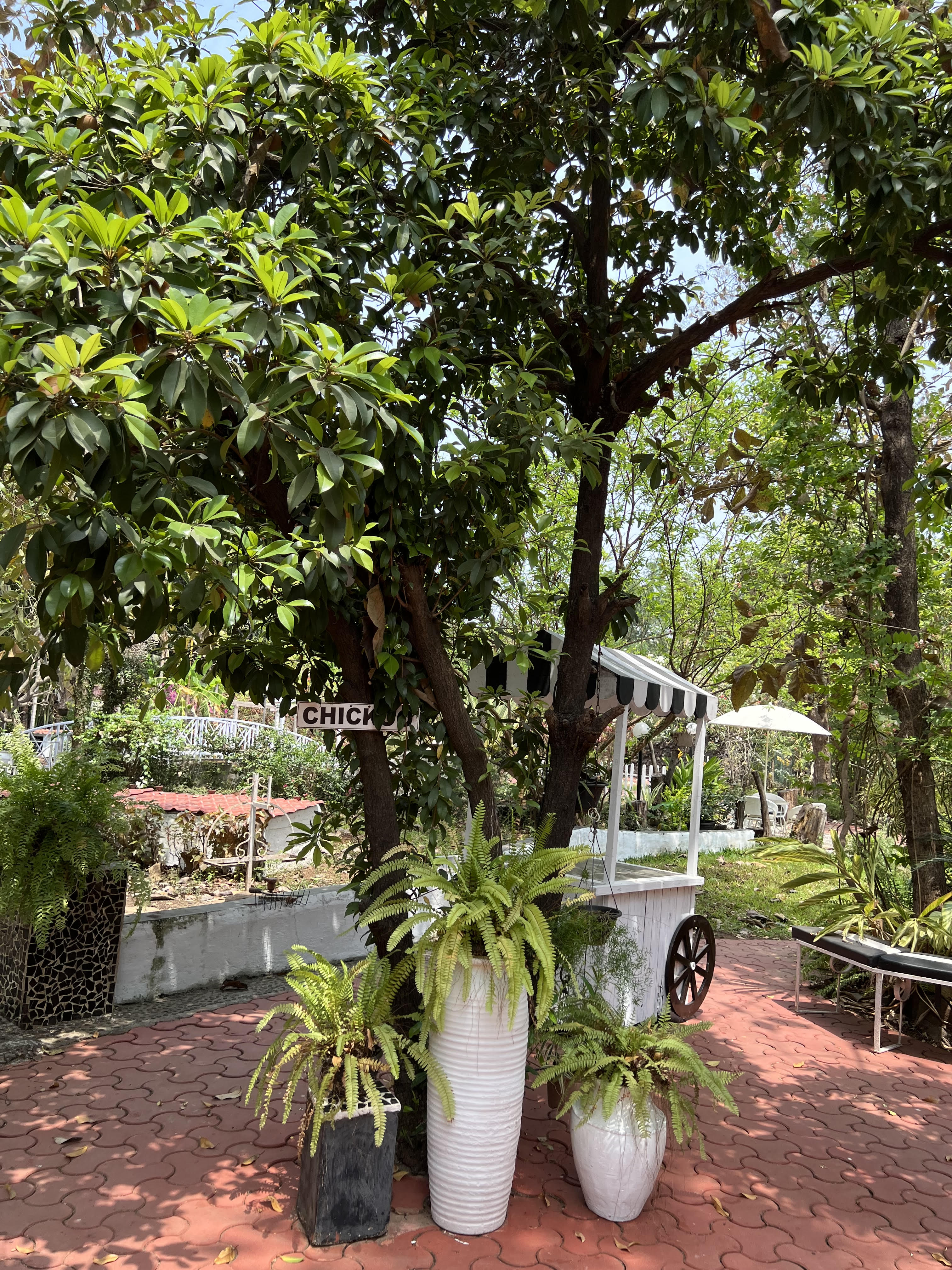 Kenwoods Farmstay
