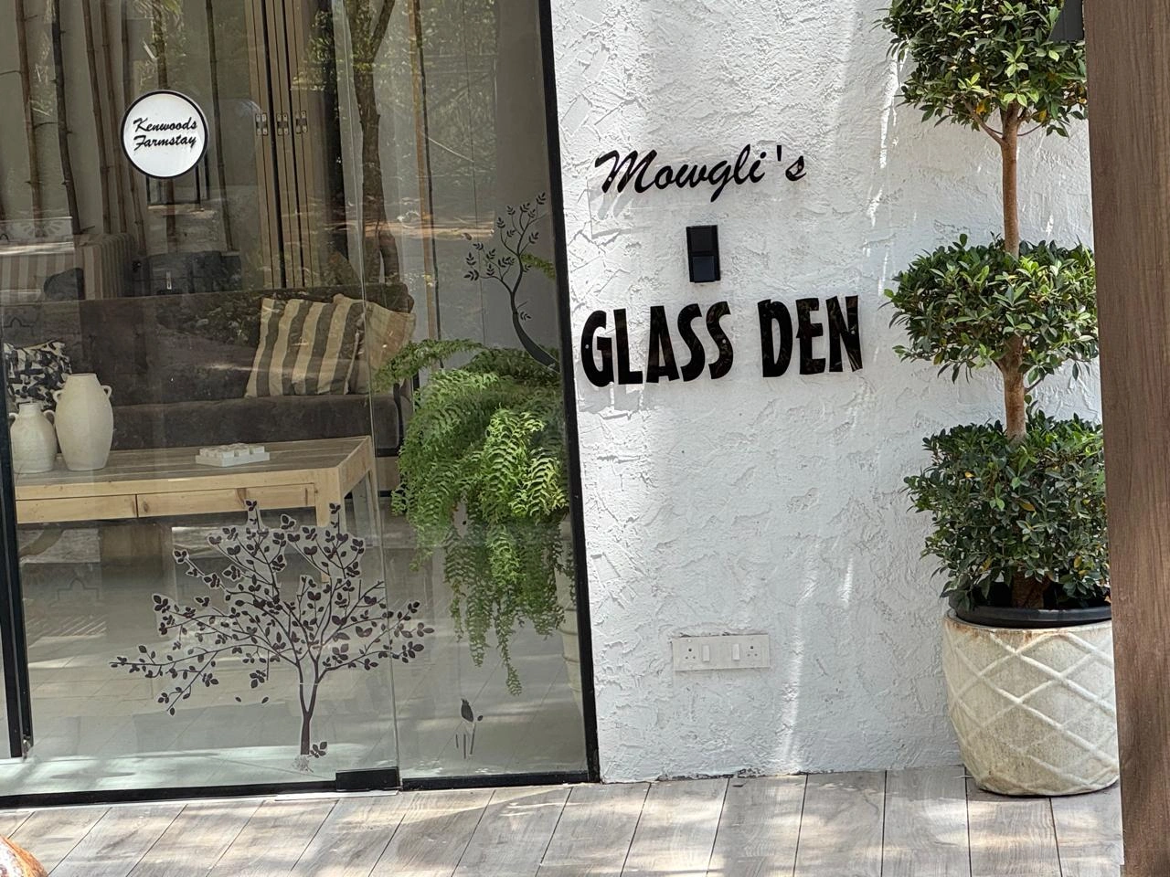 Mowgli's Glass Den