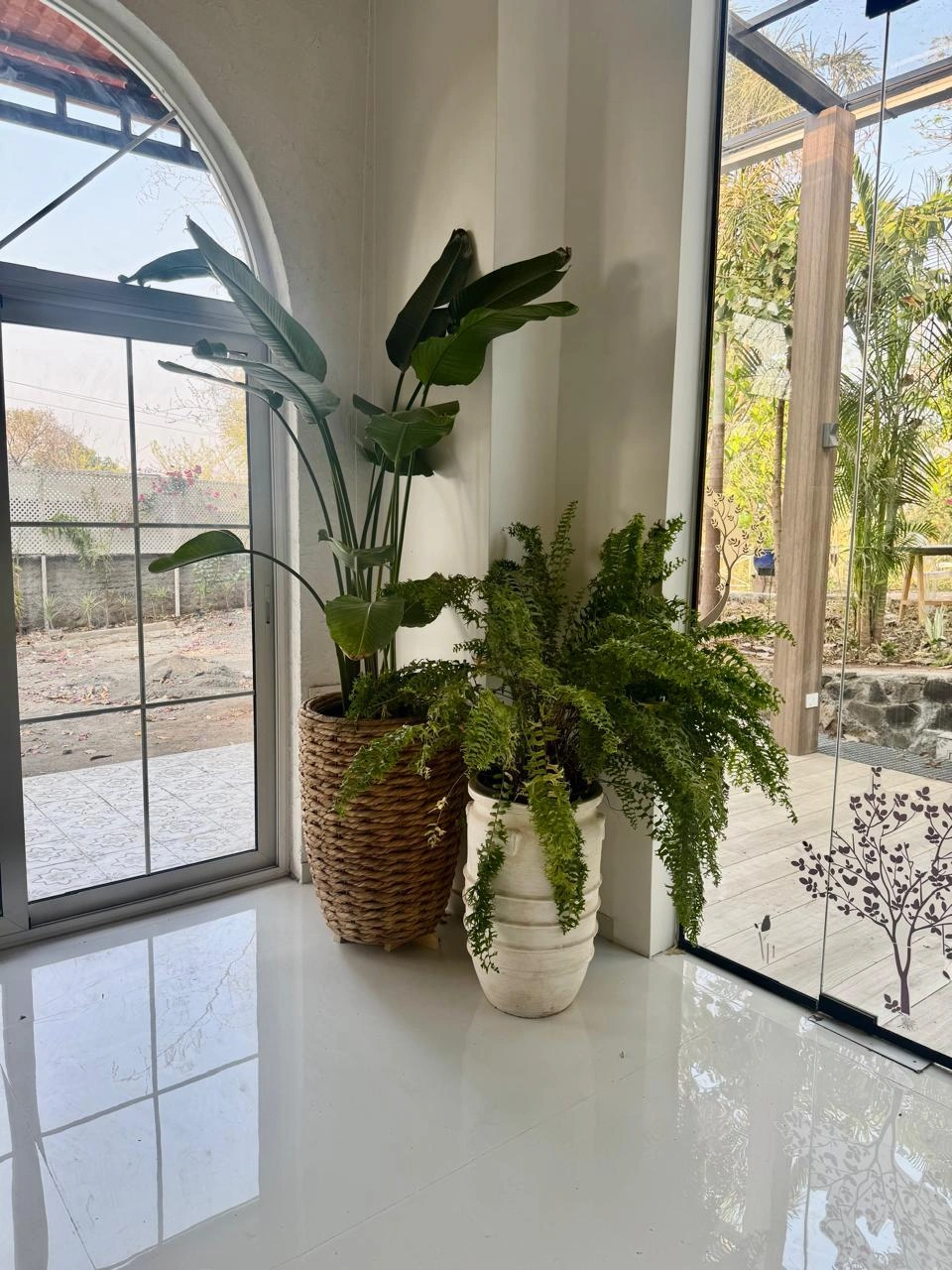 Mowgli's Glass Den