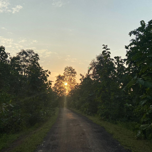 Nature Walk